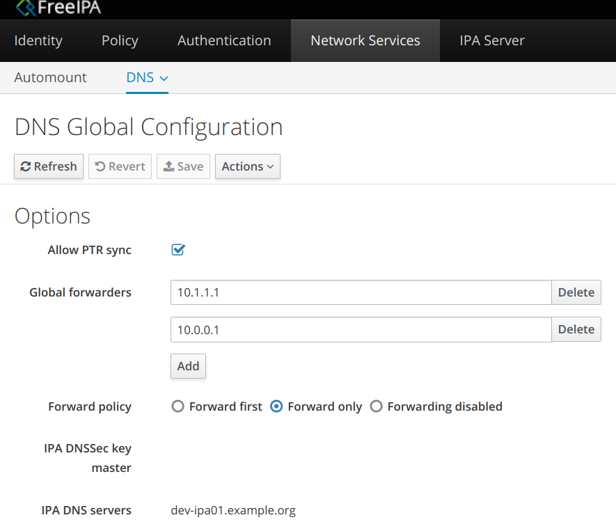 dns configuring forwarders