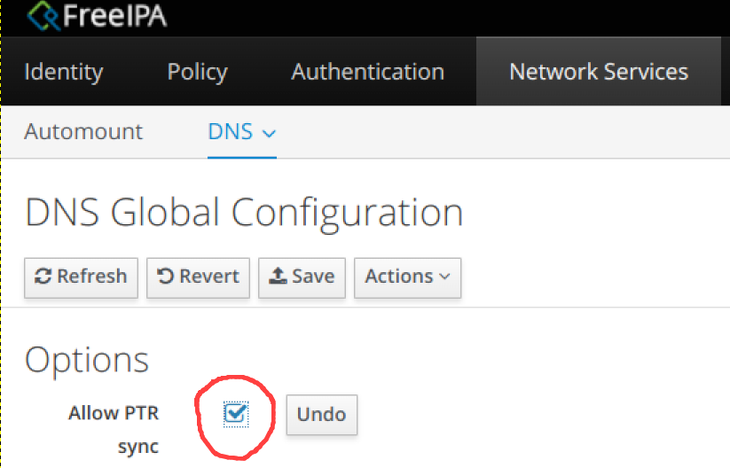 dns enabling allow sync ptr